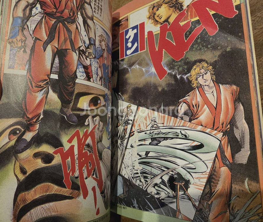 스트리트파이터2 가두패왕 컬러화보집--5