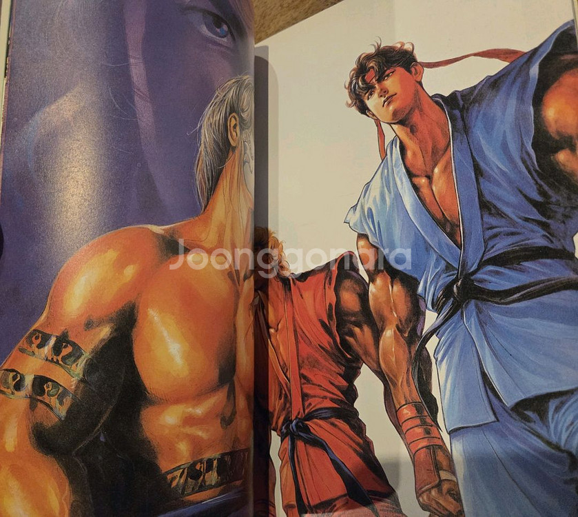 스트리트파이터2 가두패왕 컬러화보집--8