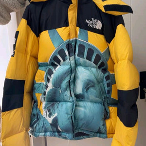 슈프림 노스페이스 자유의여신상 발토로 M