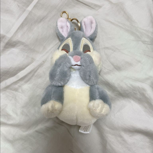 디즈니 백설공주 토끼 밤비 친구 썸퍼 키링