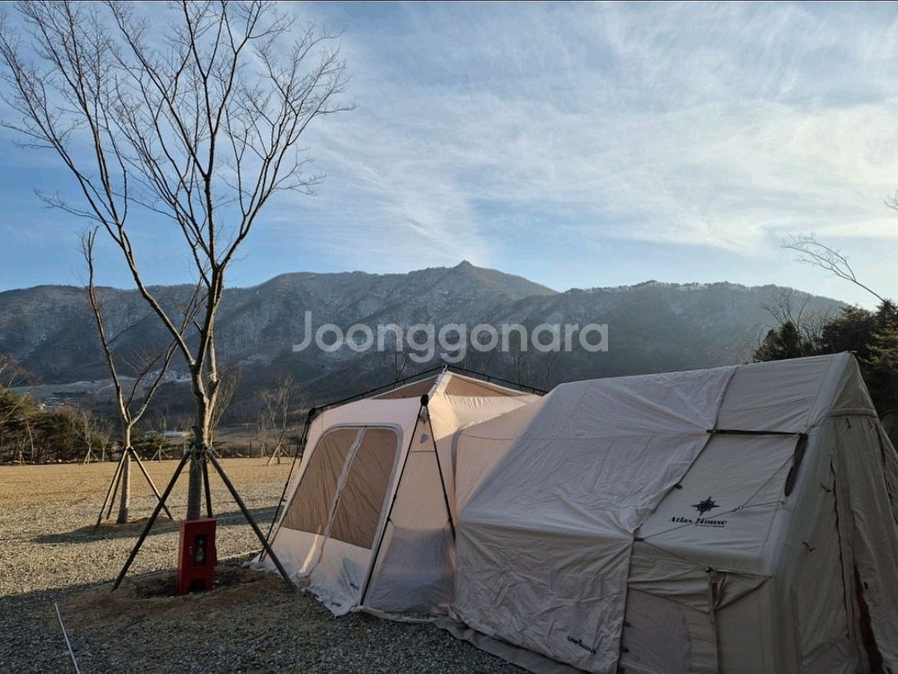 오토가제보 425 원터치 텐트(아이보리) 팝니다.--1