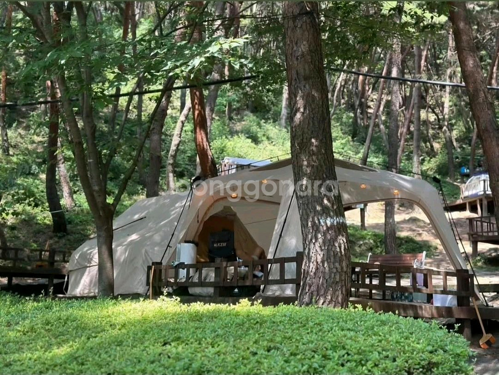 오토가제보 425 원터치 텐트(아이보리) 팝니다.--0