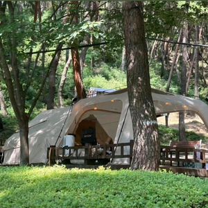 오토가제보 425 원터치 텐트(아이보리) 팝니다.