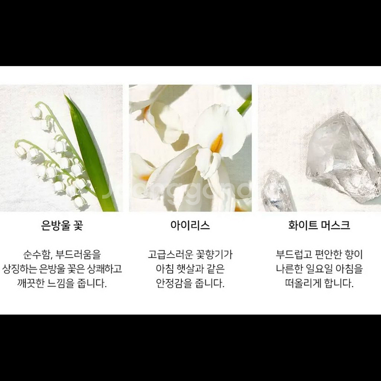 메종 마르지엘라 레이지 선데이 모닝 핸드크림 50ml--5