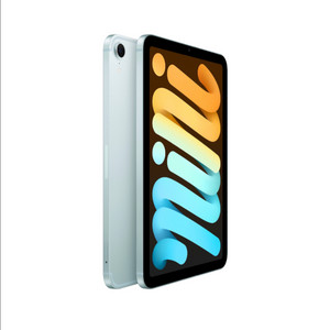 아이패드 미니7 셀룰러 256 자급제 배터리100