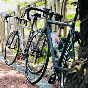 비앙키 스페셜리시마 림브 싸이클 팝니다