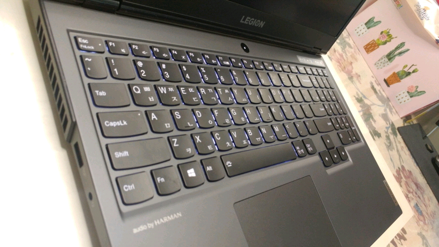 레노버 리전5i 울트라 10세대 i7 고성능 게이밍 노트북/RTX2060 이미지