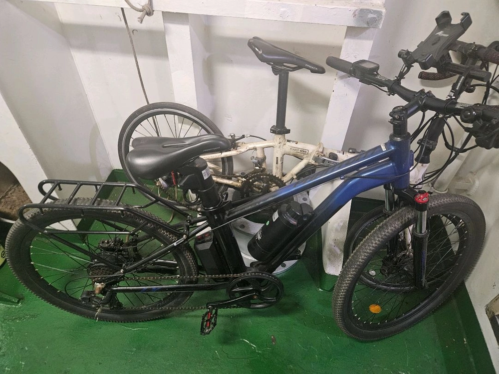 삼천리 전기자전거 팬텀 lx 2022 - 안심되는 중고거래