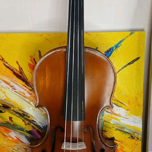 핸드메이드 4/4 바이올린 풀세트