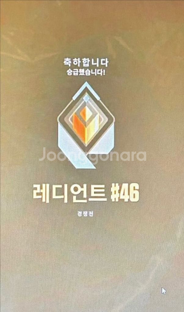 발로란트 굿즈 대리합니다--0