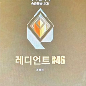 발로란트 굿즈 대리합니다