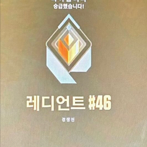 발로란트 굿즈 대리합니다