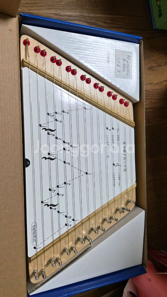 지피노 영재교구--1