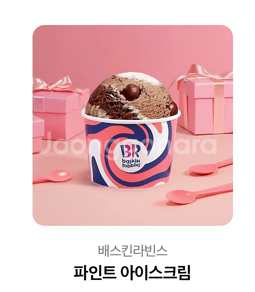 베스킨라빈스 파인트 아이스크림--0