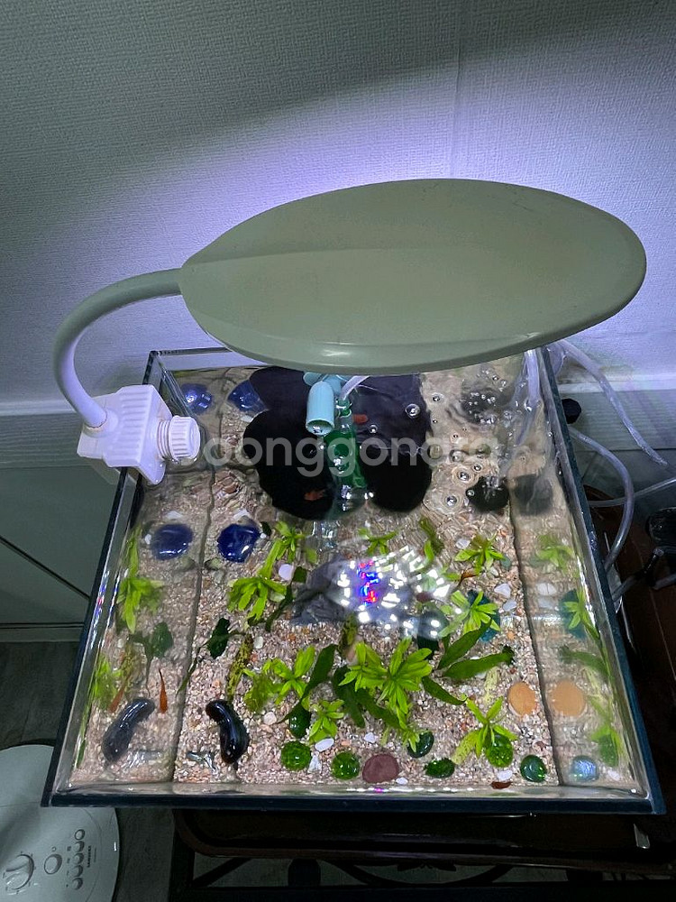 35L 어항 세트--0