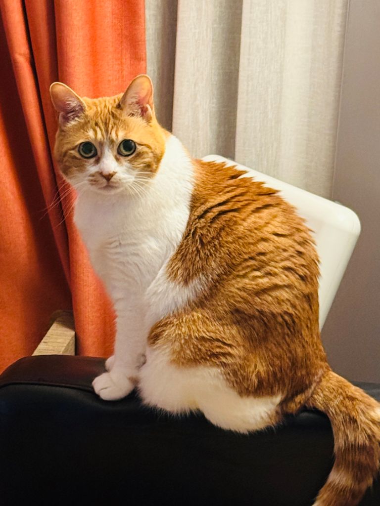 프로필 이미지