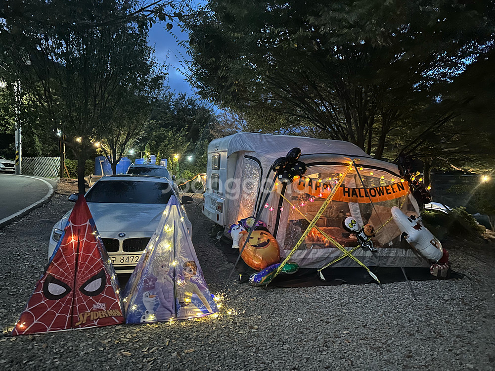 반고라피드 350 텐트 + 카펫 세트--2