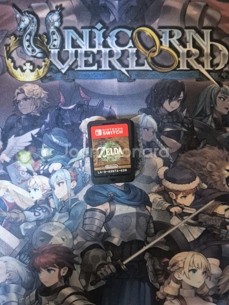 닌텐도 스위치 젤다의전설 왕국의 눈물 알칩--0