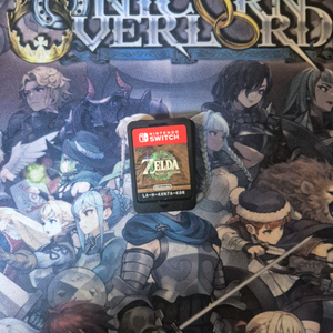 닌텐도 스위치 젤다의전설 왕국의 눈물 알칩