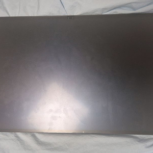 갤럭시탭S8 울트라 셀룰러 256GB