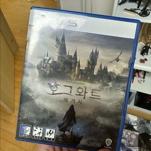 ps5 호그와트 레거시