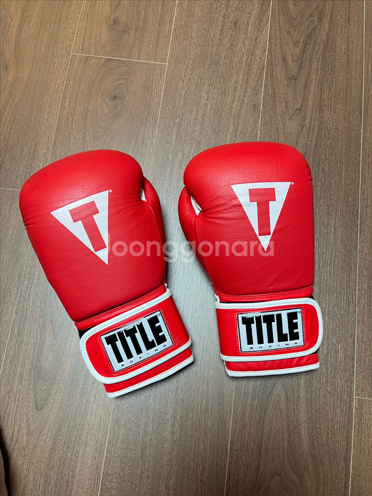 타이틀 복싱 글러브 16온스--0