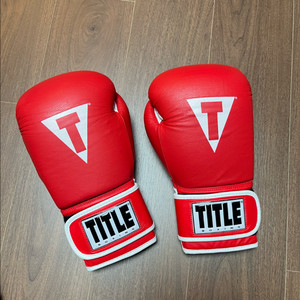 타이틀 복싱 글러브 16온스