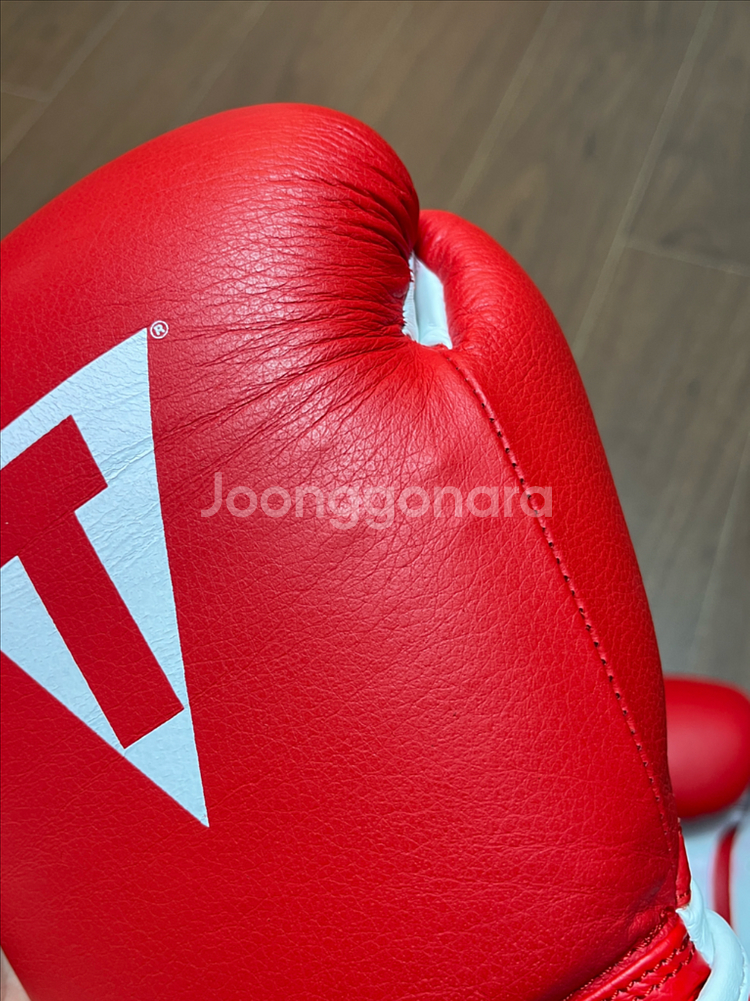 타이틀 복싱 글러브 16온스--5