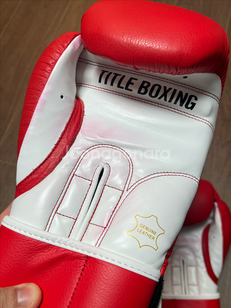 타이틀 복싱 글러브 16온스--3