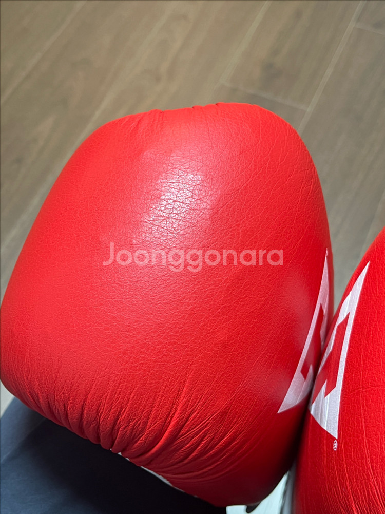 타이틀 복싱 글러브 16온스--7