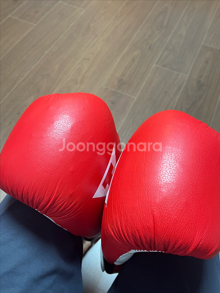 타이틀 복싱 글러브 16온스--6