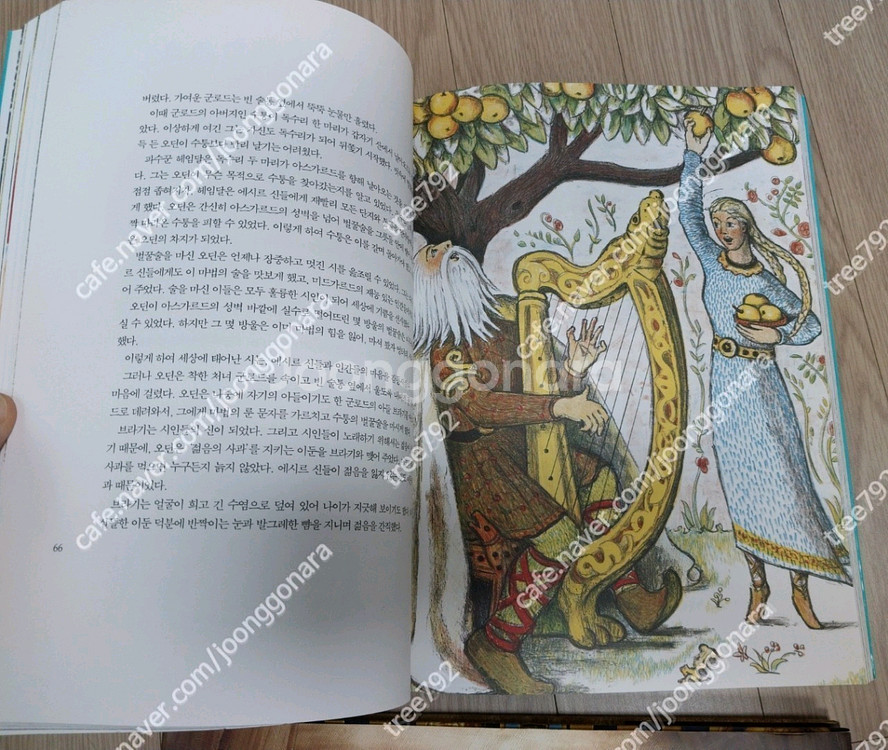 미라의비밀 그리스신화 북유럽신화 큰책들--2