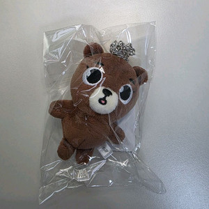 데이식스 데니멀즈 일본 MD 방 백참 (미개봉)