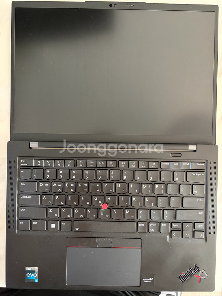 레노버 씽크패드 X1 카본 Gen 10 p1260, 1tb, 32gb--1