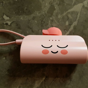 카카오프렌즈 보조베터리