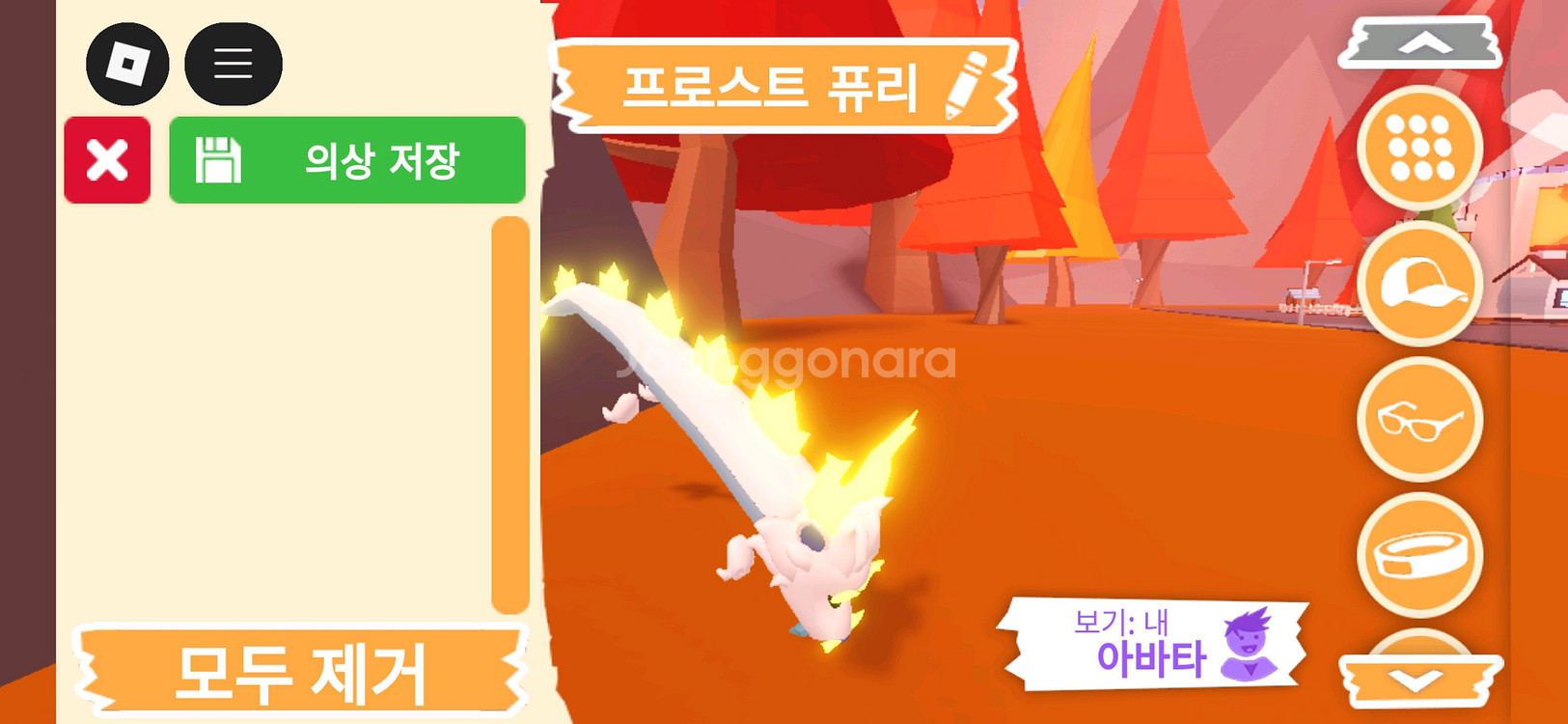 입양하세요 펫 메가네온 프로스트 퓨리(메퓨리)판매합니다--1