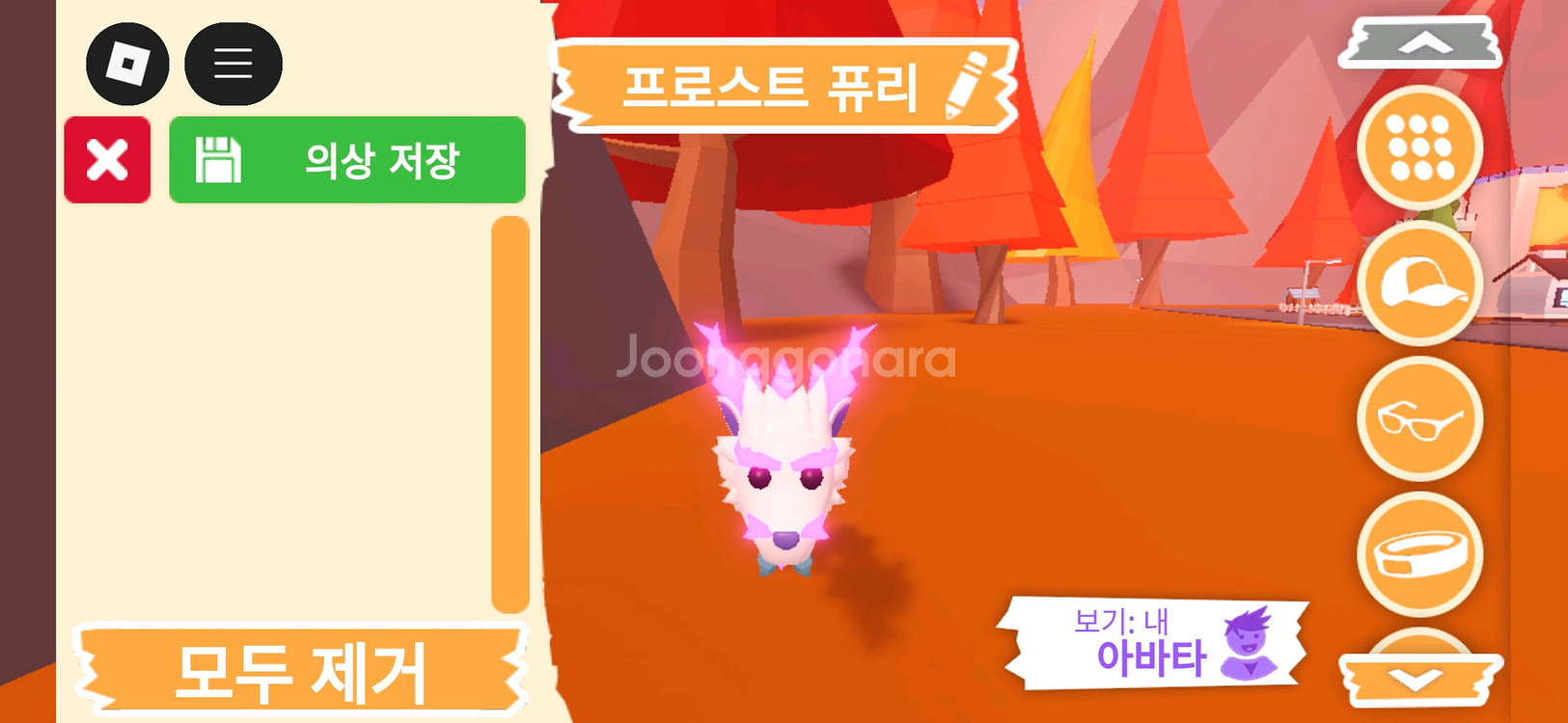 입양하세요 펫 메가네온 프로스트 퓨리(메퓨리)판매합니다--0