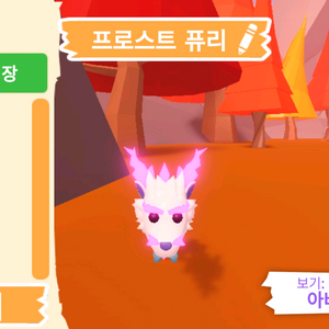 입양하세요 펫 메가네온 프로스트 퓨리(메퓨리)판매합니다