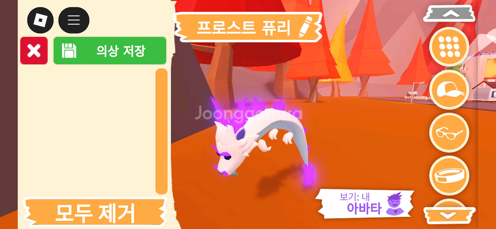 입양하세요 펫 메가네온 프로스트 퓨리(메퓨리)판매합니다--2