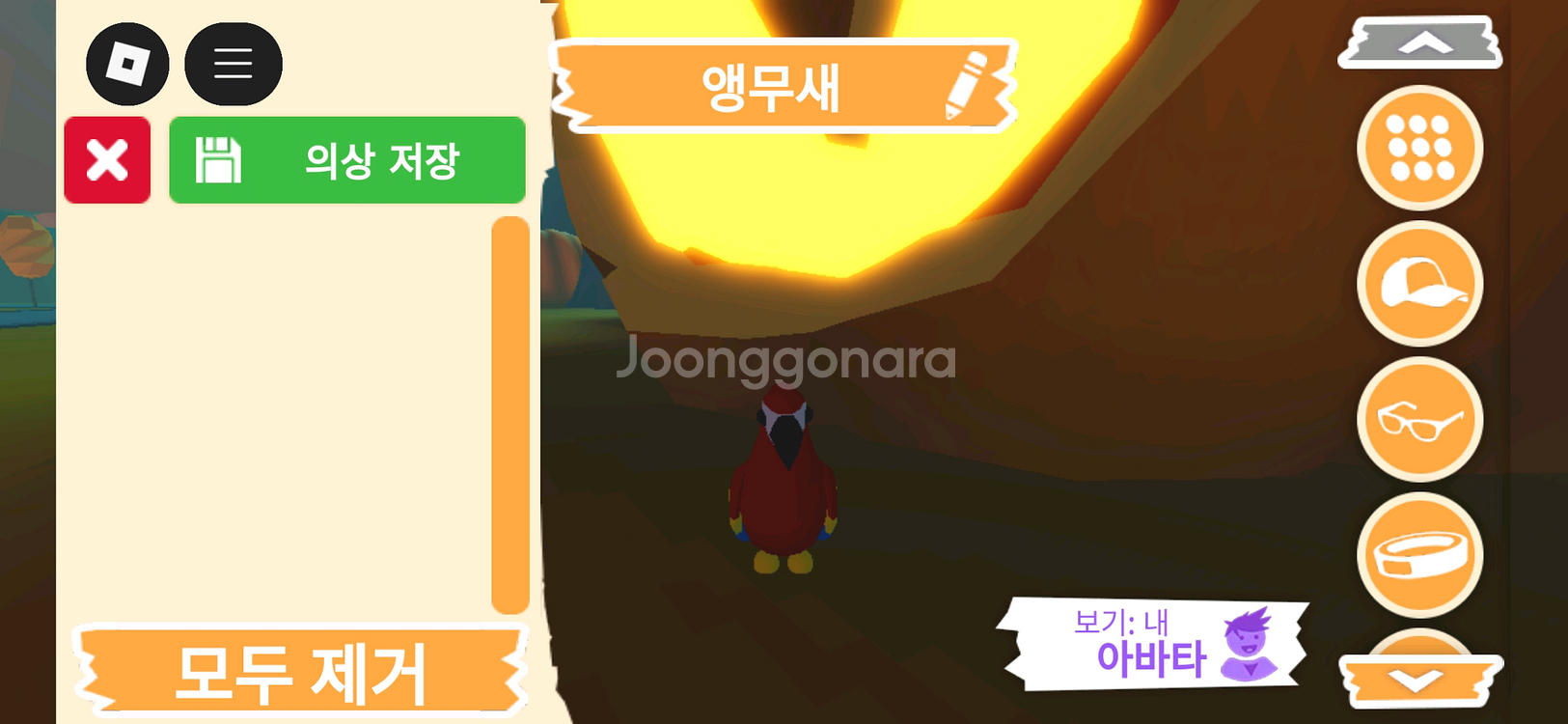 입양하세요 펫 무능 앵무새 판매합니다.--0