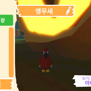 입양하세요 펫 무능 앵무새 판매합니다.