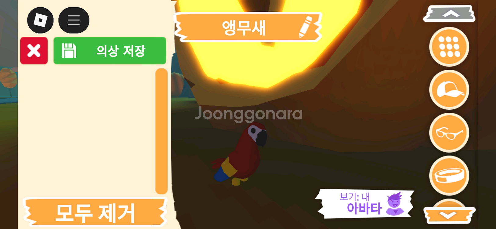 입양하세요 펫 무능 앵무새 판매합니다.--1