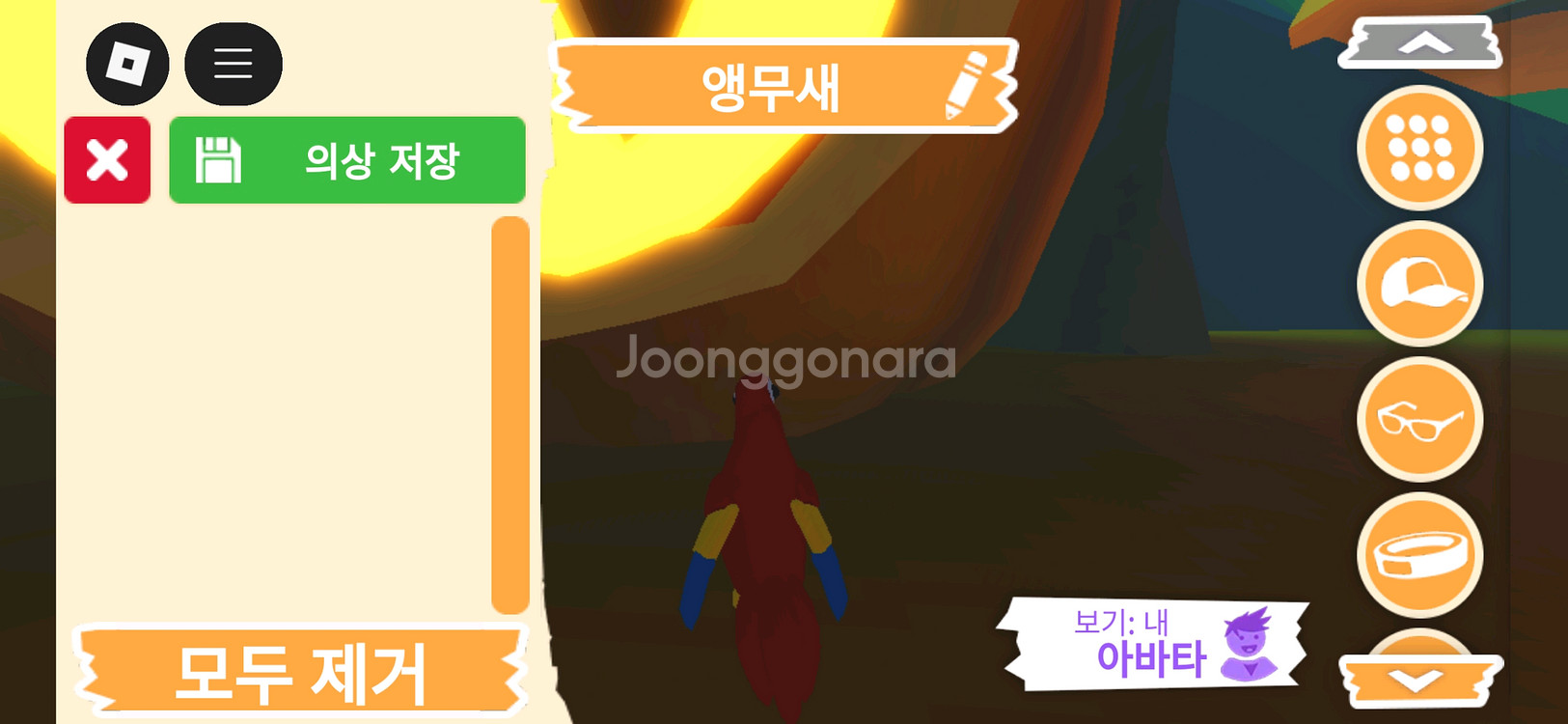 입양하세요 펫 무능 앵무새 판매합니다.--3