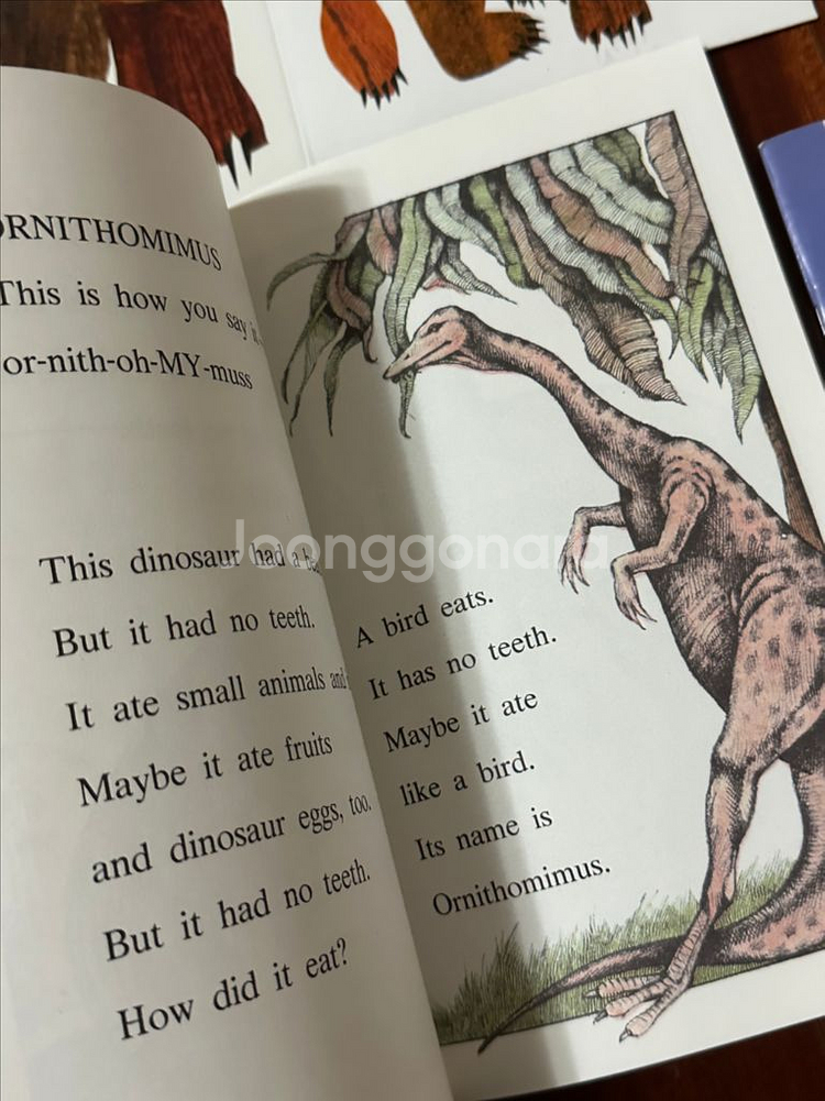 에릭칼 등 영어원서 9권 세트--4