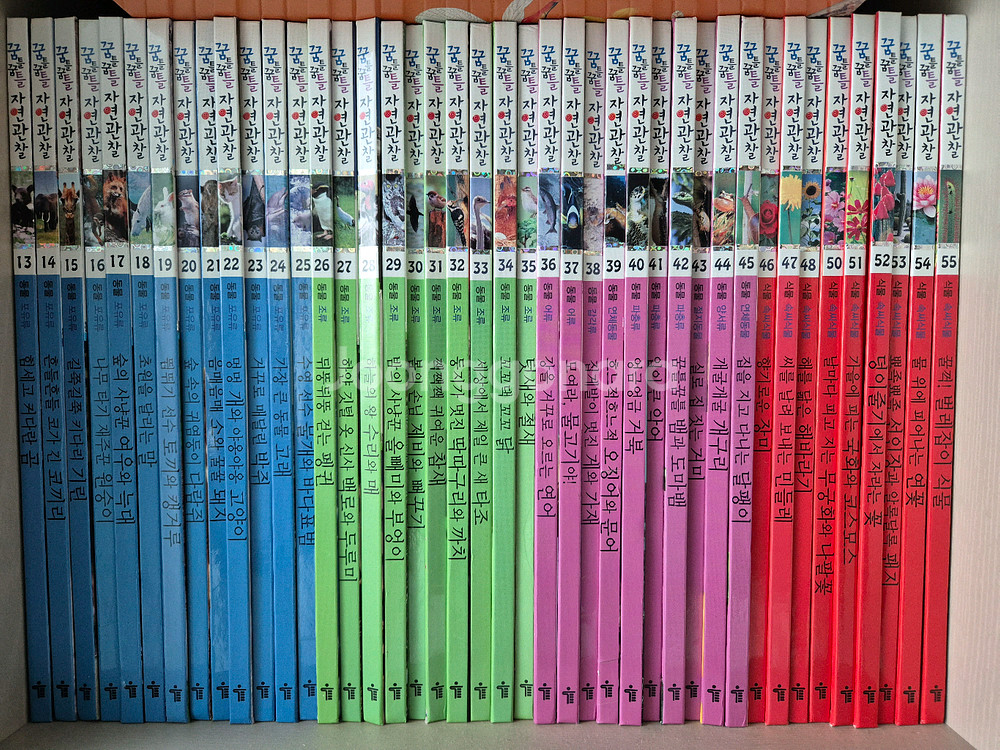 한국톨스토이 꿈틀꿈틀 자연관찰--0