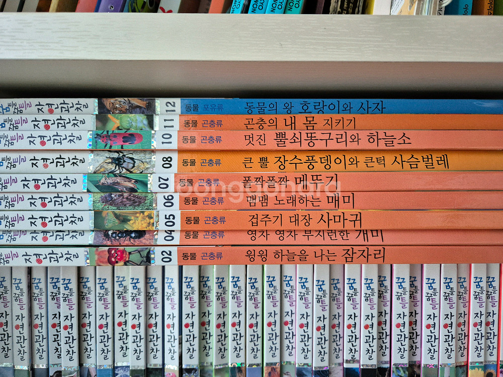 한국톨스토이 꿈틀꿈틀 자연관찰--1