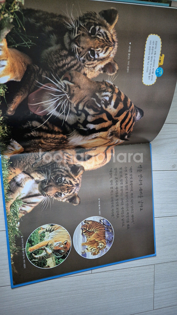 한국톨스토이 꿈틀꿈틀 자연관찰--3