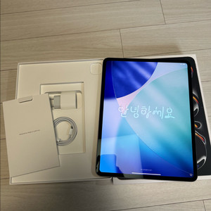 아이패드 프로 M4 13인치 1tb 스페이스블랙