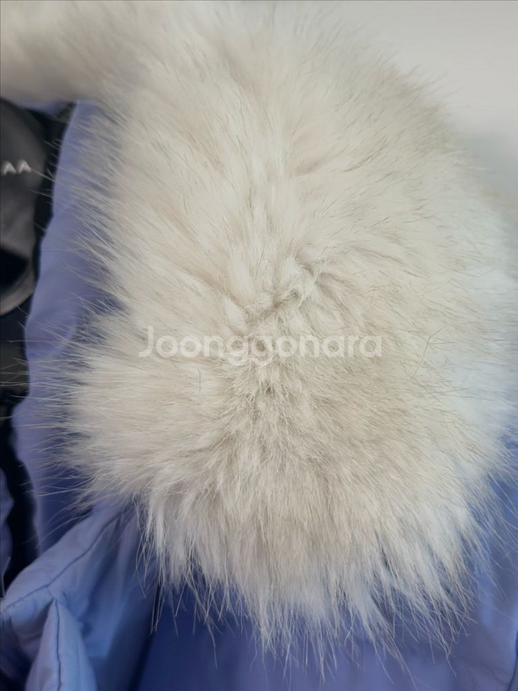 키즈 패딩점퍼 145--8