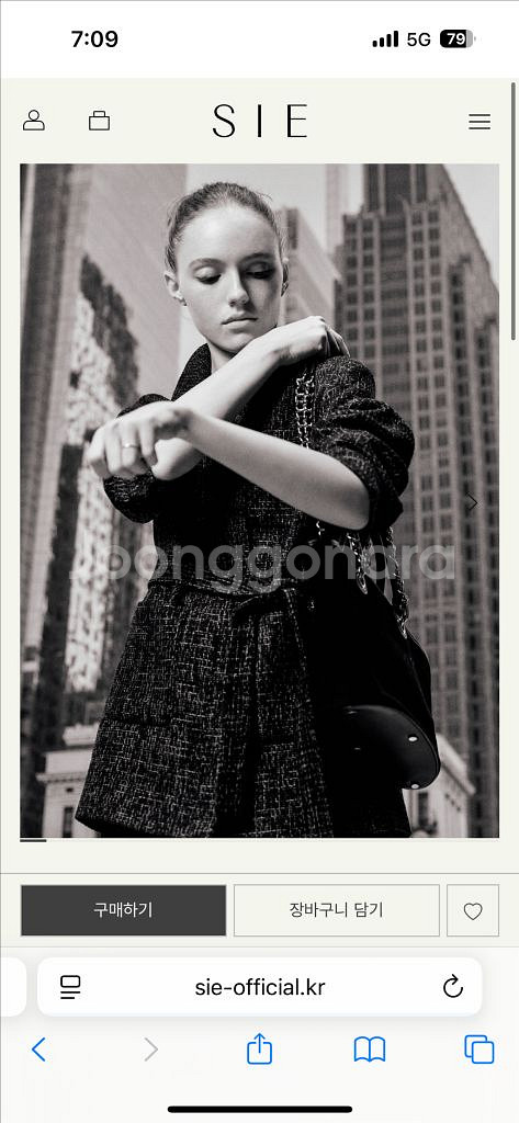 시에sie 가든캔버스체인백--2